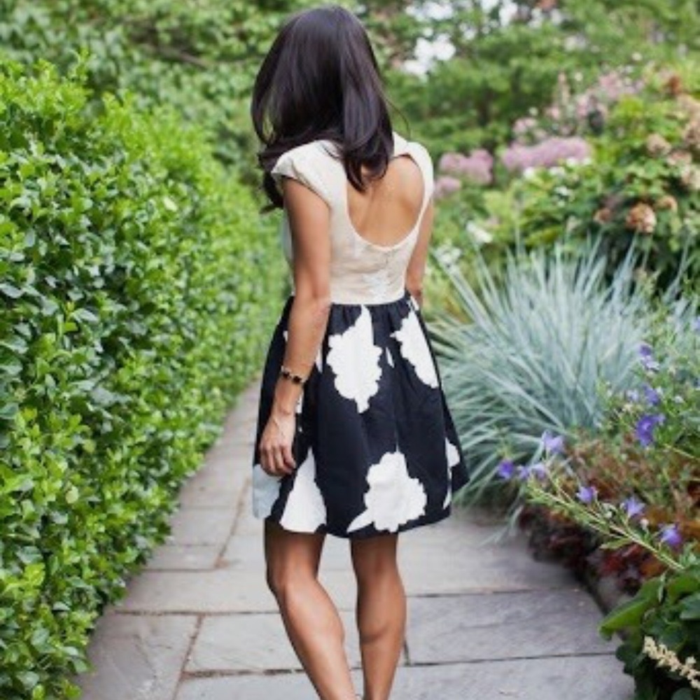 Anthropologie Troubadour Dress Fit + Flare Beige:Black Size Sz 0-2P.